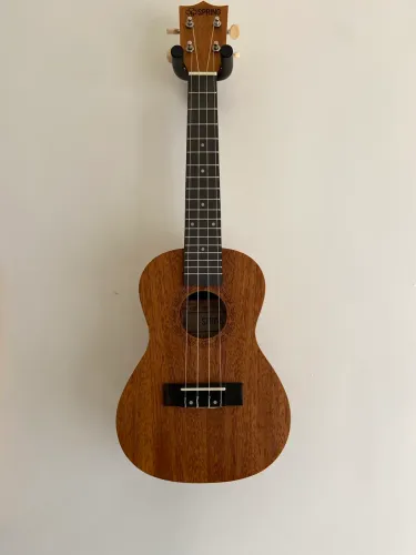 Ukulele Spring 