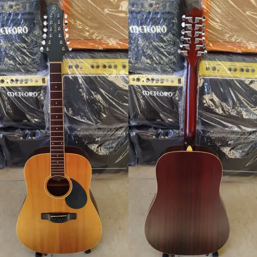 Violão 12 cordas Greg Bennett, d-2-12/ns