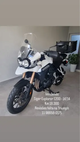 Tiger Explorer 1200 - 2014