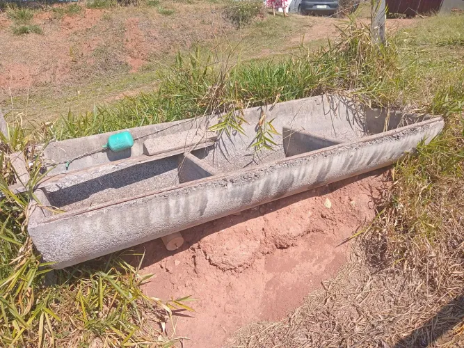 2 Cochos de concreto