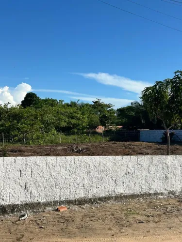 Lote 24x50 
