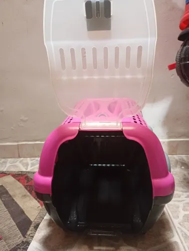 Casinha de Gato