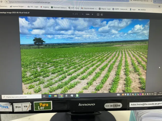 Sítio produtivo em Japoatã-SE, 9,36 hectares (30,96 tarefas). Porteira Fecha. Escriturado 