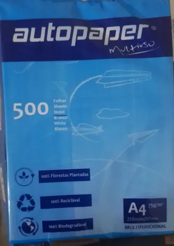 Papel A4 e material de informática.