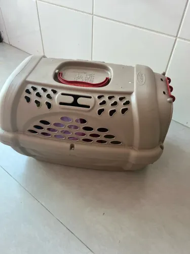 Transporte cachorro/gato