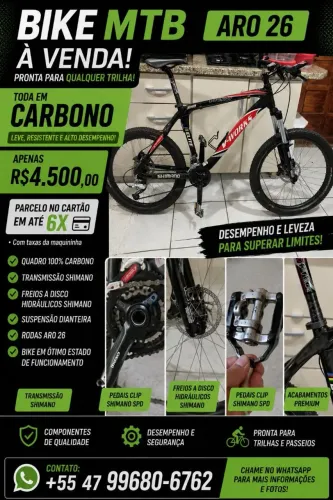 Bike vicini v-works speed carbono