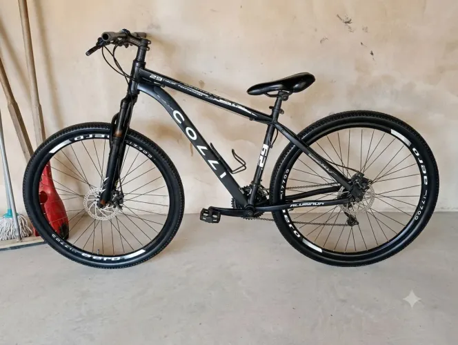 BIKE COLLI ARO 29 - 100% REVISADA