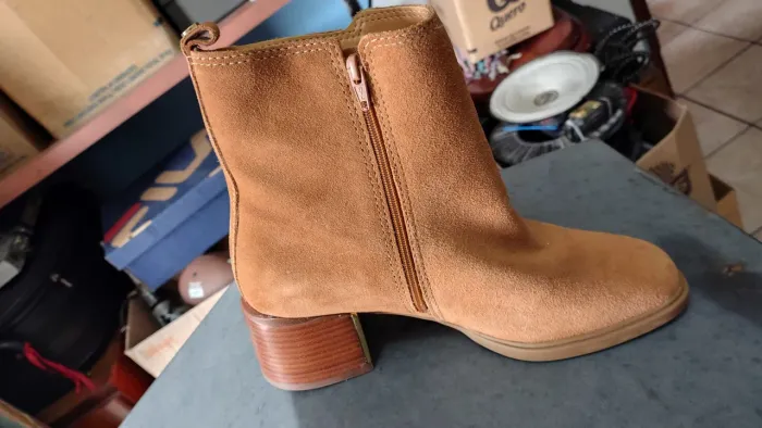 Bota