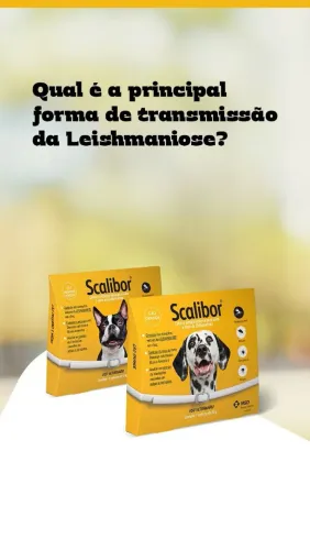 Coleira Scalibor 