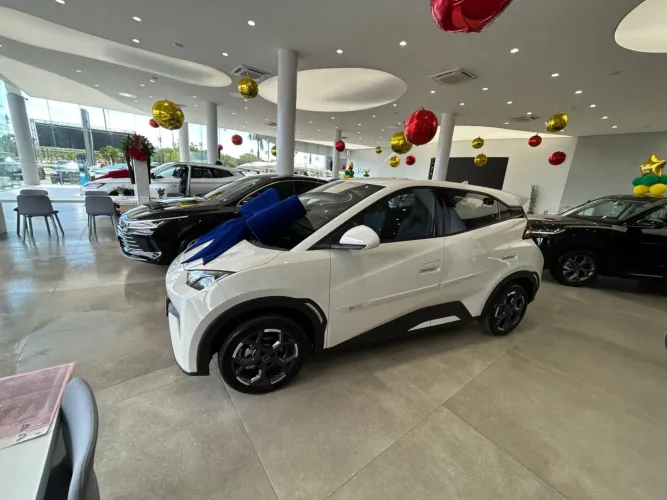 BYD Dolphin Mini (Elétrico) 2026