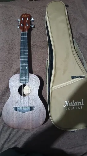 Ukulele concert Kalani com case