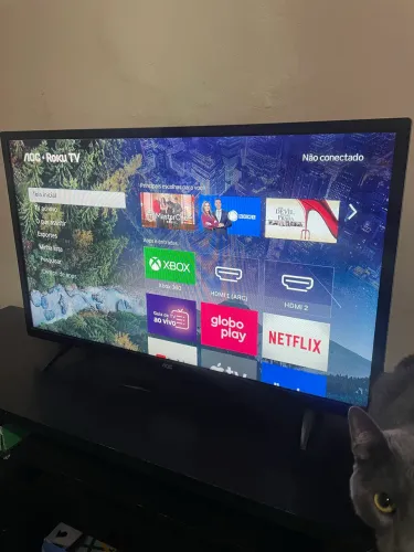 Tv roku 32 polegadas