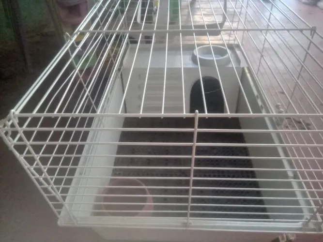 ?Gaiola Grande Ferplast para Porquinho da Índia / Coelho