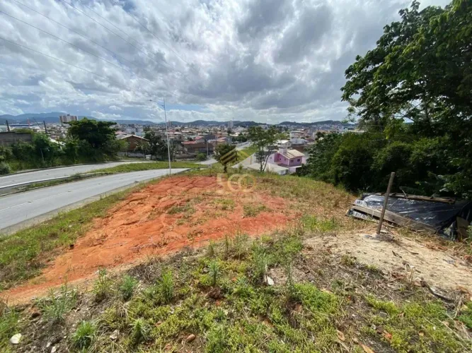 Residencial Lote/Terreno com 0 Dormitório(s) sendo 0 Suíte(s) no Bairro Passa Vinte - - P