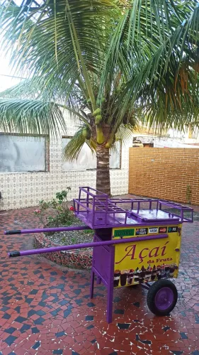 Carrinho de açaí barraca de açaí com isolamento térmico