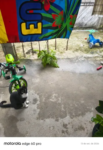 Doação