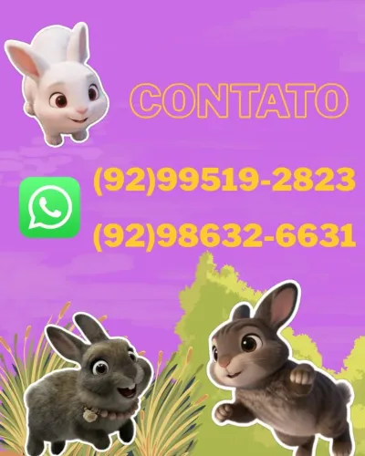 Aminal de estimação 