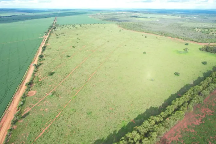 COD385- Fazenda 545HECTARES- Pantanal Paiaguas /MS