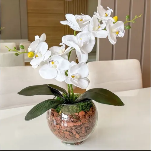 Arranjo Orquídea 3D Silicone Realista com Terrário de vidro