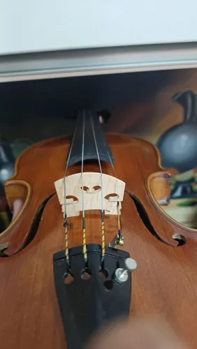 Violino profissional
