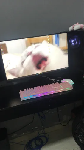 Monitor Gamer LG 27" Full HD, IPS, HDMI e VESA, FreeSync, Ajuste de Ângulo