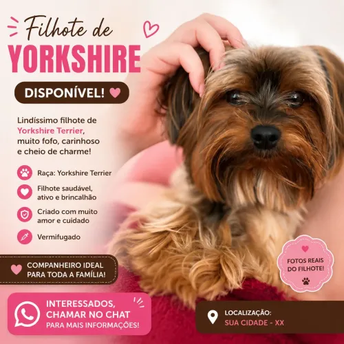 Filhote de yorkshire