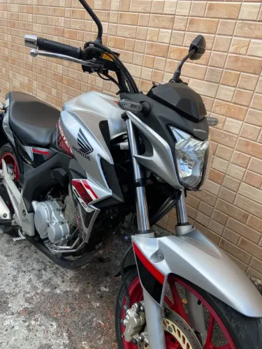 Twister 250cc flex ?