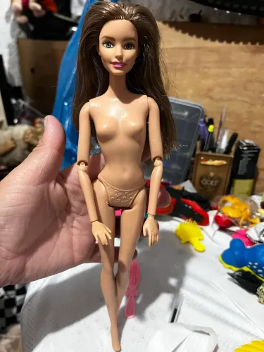 Barbie curve fashionista