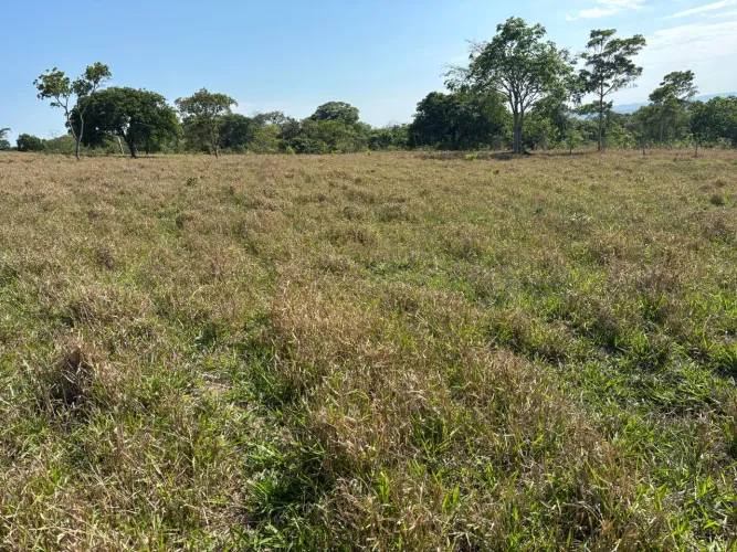 Chácaras 21.504 m² em Aragoiânia, escrituradas, a partir de R$ 280 mil