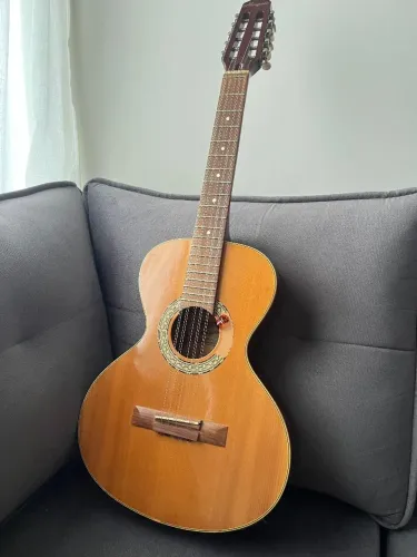 Viola Marques (acompanha capa, alça e dedeira)
