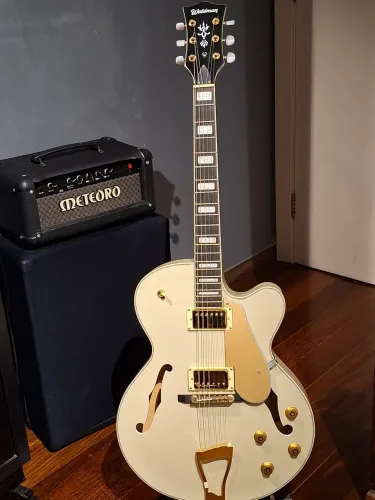 Guitarra Semi-Acustica Waldman®