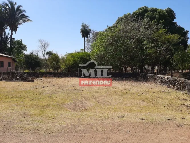 Fazenda em Figueiropolis - TO. 163 Alq. (792 Há)