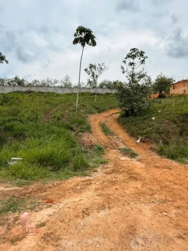 Terreno à venda, 1041 m² por R$ 450.000,00 - Condomínio Reserva Ibirapitanga - Santa Isabe