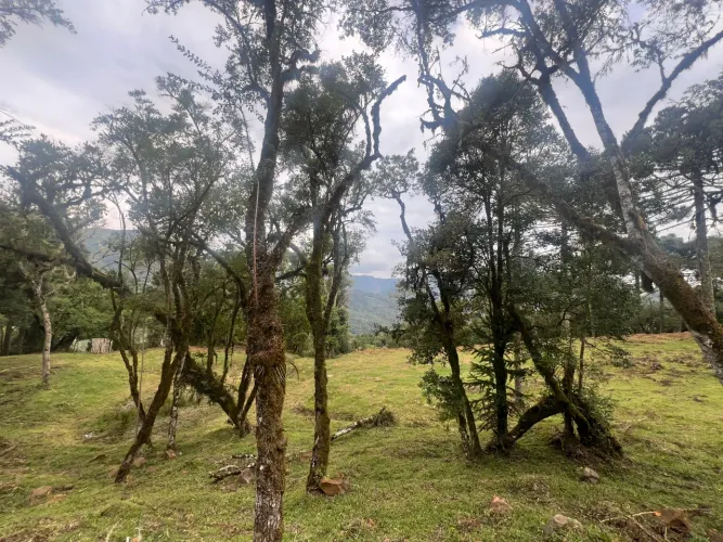 Terreno em Urubici- R$ 189 mil - 30% + 48 X