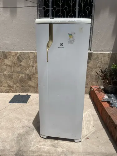 Geladeira RFE39 frosfree