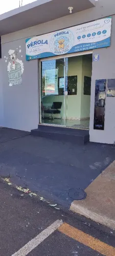 Pérola banho e tosa