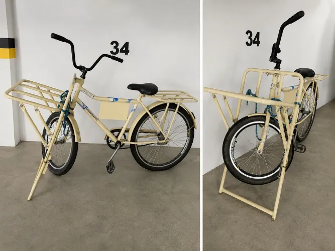 Bicicleta Cargueira