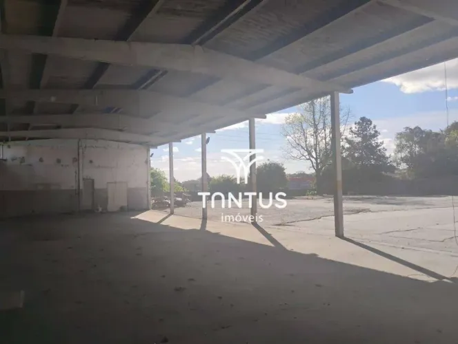 Terreno para alugar, 2150 m² por R$ 9.000/mês - Cidade Industrial - Curitiba/PR