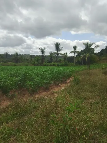 Vende-se e troca este terreno medindo 7 tarefas