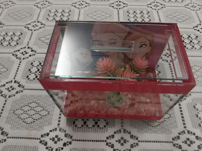 Aquario para peixe Beta