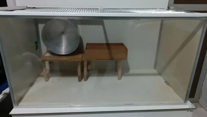 Terrário e gaiola para Hamster.
