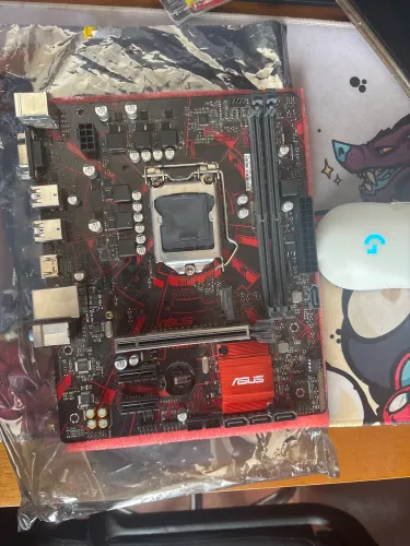 ASUS EX-B365M-V5 - Excelente Estado Placa-mãe ASUS EX-B365M-V5
