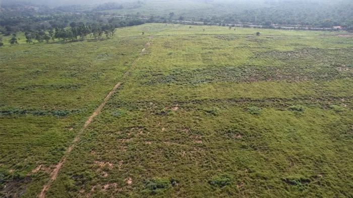 Fazenda 42 alqueires a 28km de Araguaína 