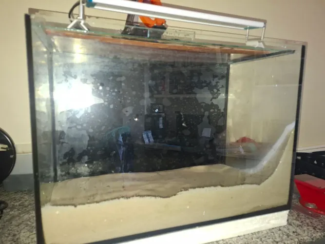 Aquário 43L com bomba interna e Luminária