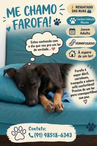 Adote o Farofa