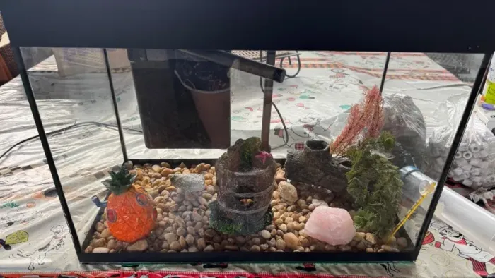 Áquario para peixes com todos os acessórios
