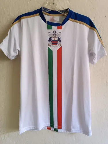 Camiseta Masculina Esportiva Pallavolo Maschile Italia
