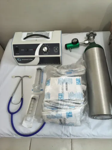 Gerador de ozônio profissional 