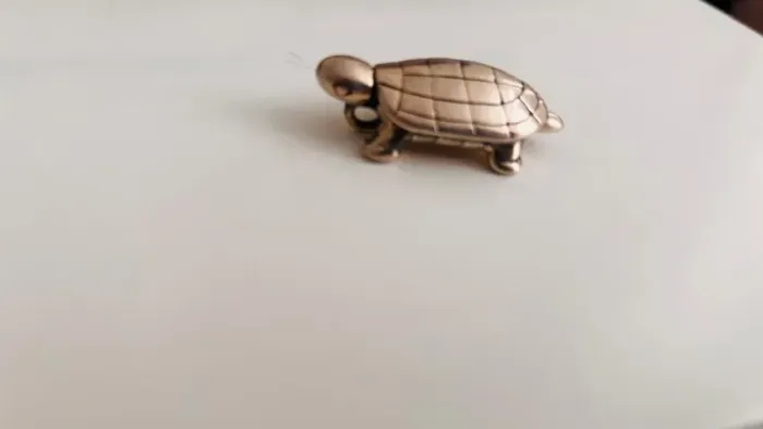 Pingente em Prata 925 modelo tartaruga
