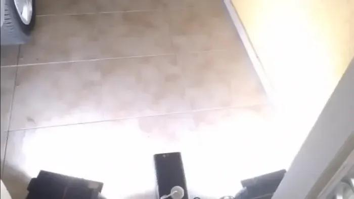 2 Strobos + 1 Máquina de Fumaça c/ Controle Remoto - 600W e 127V